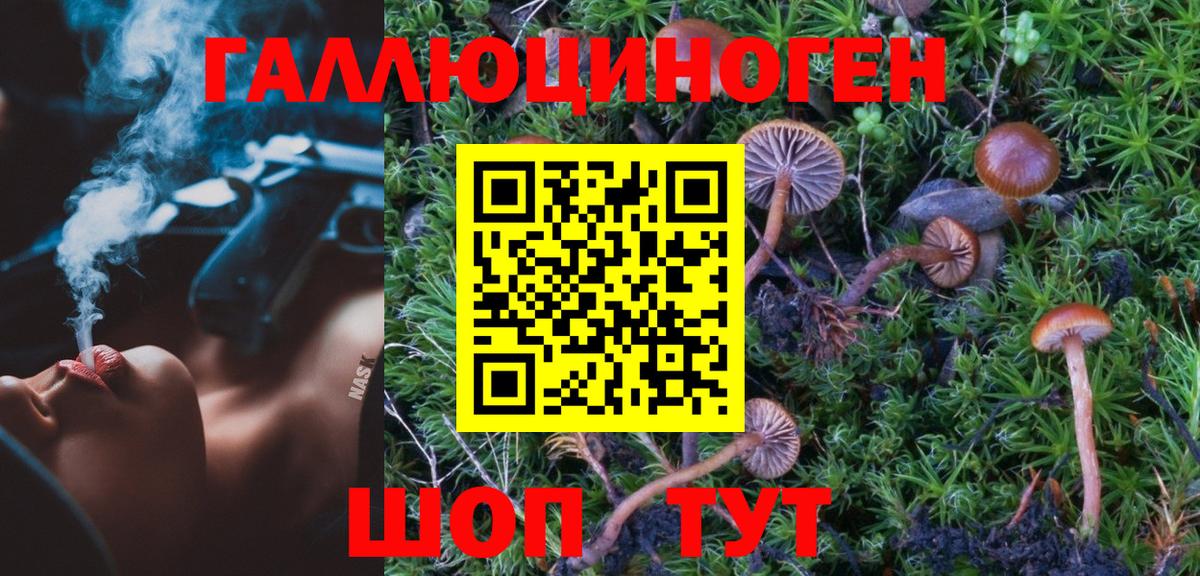 Кудымкар  наркота  Вход с VPN  Псилоцибиновые грибы Psilocybine cubensis 