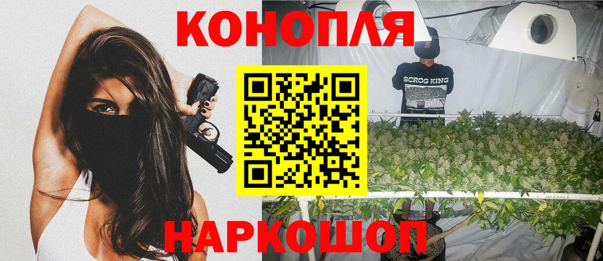 Бошки марихуана сатива  Марихуана марихуана  Кудымкар  Вход с VPN  Марихуана конопля 